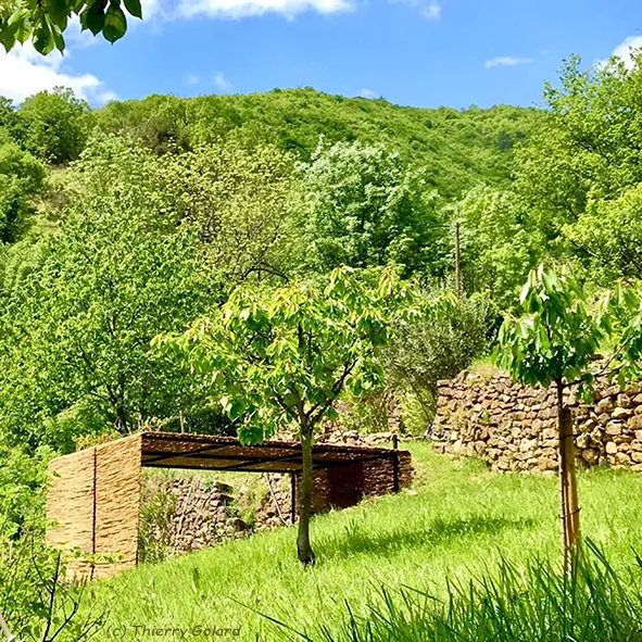 Photo d'illustration de l'ambassadeur - Le Rocher en Cévennes