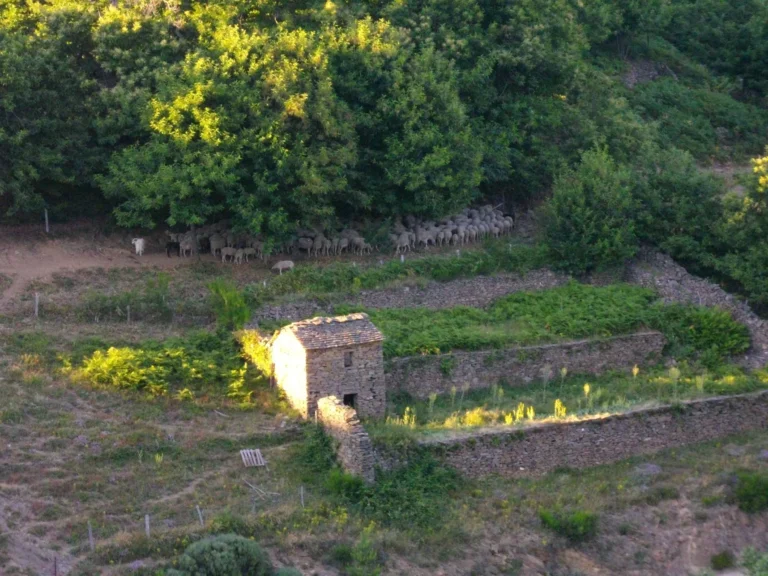 Cultur-Monts : Un projet européen pour le patrimoine de montagne