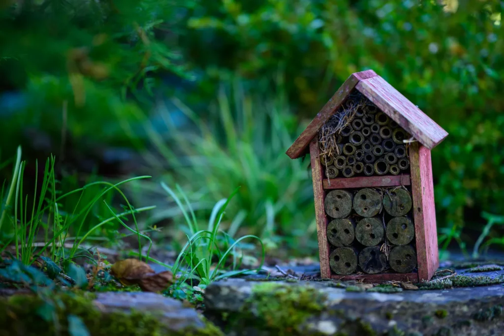 Photo d'illustration de l'ambassadeur - La Lozerette