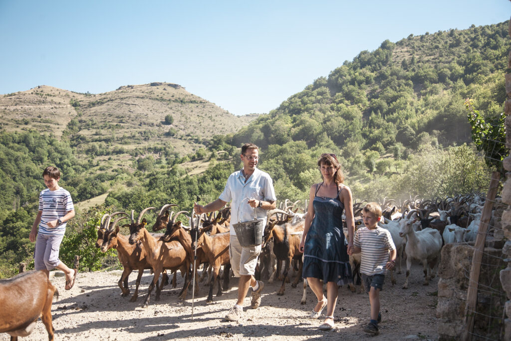 Photo d'illustration de l'ambassadeur - La Ferme des Cévennes