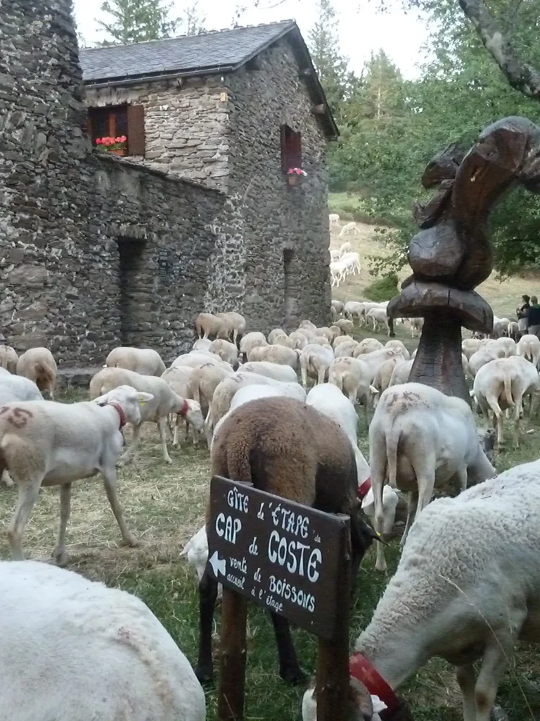 Photo d'illustration de l'ambassadeur - Gîte de Cap de Coste