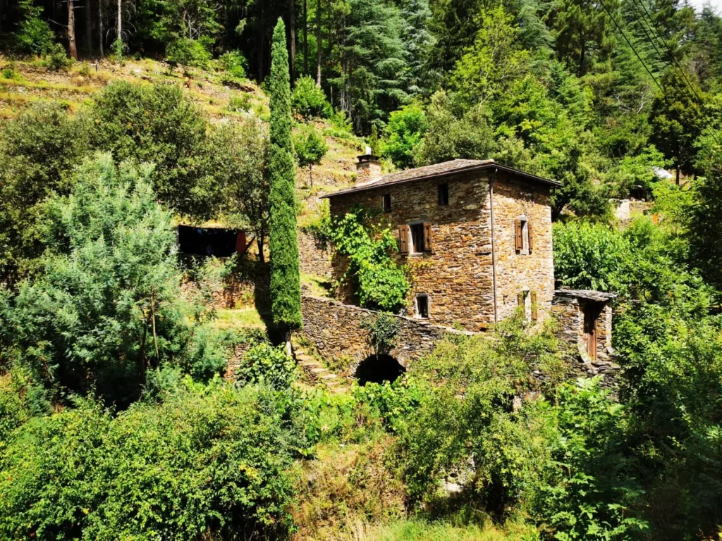 Photo d'illustration de l'ambassadeur - Cocon Cévenol Gîte nature et Chambres d'hôtes
