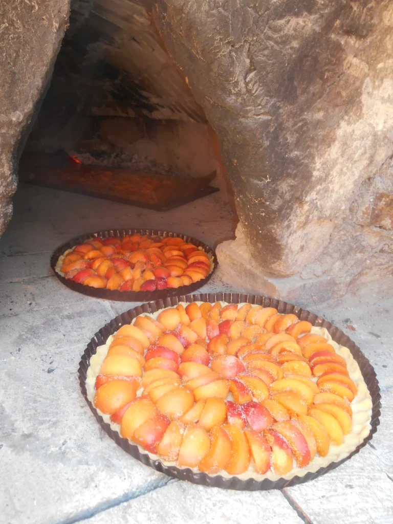 Photo d'illustration de l'ambassadeur - Gîte de Cap de Coste