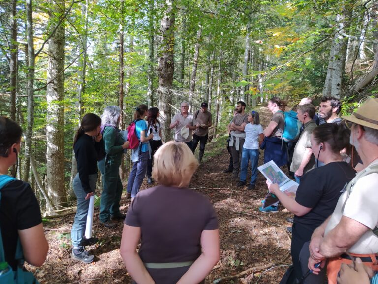 Workshop International - Paysages, sylviculture et agropastoralisme durables.