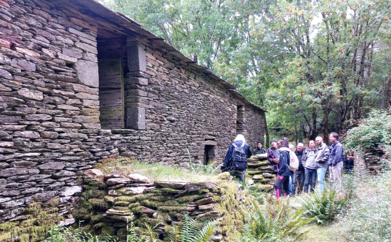 Une voie... Royale !