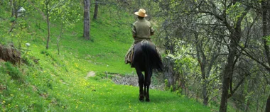 Le guitariste Pascal Charrier donne deux concerts, intitulés "Petite montagne"