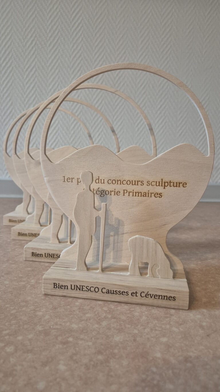 Les lauréats des concours Année internationale du pastoralisme !
