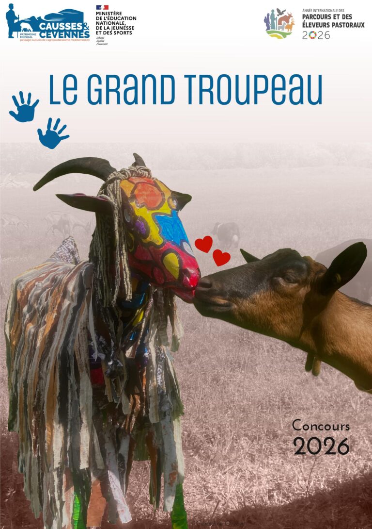 Le catalogue des œuvres réalisées dans le cadre du concours scolaire est disponible !